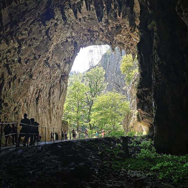 Postojna Cave, Slovenia